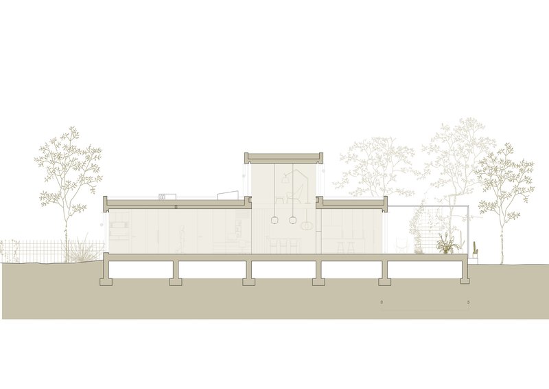 Section drawing illustrating the elevated volumes on columns with trees and ground plane below