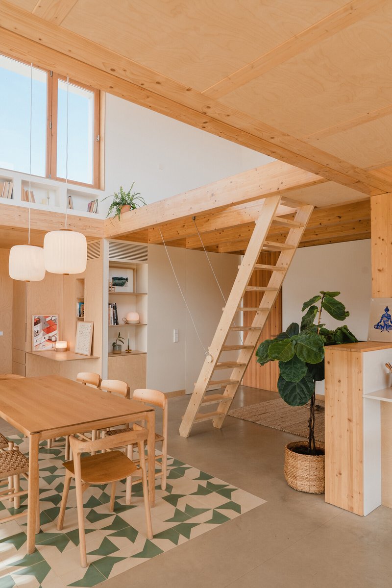 Timber ladder stair connecting to mezzanine level with white walls and plywood ceiling