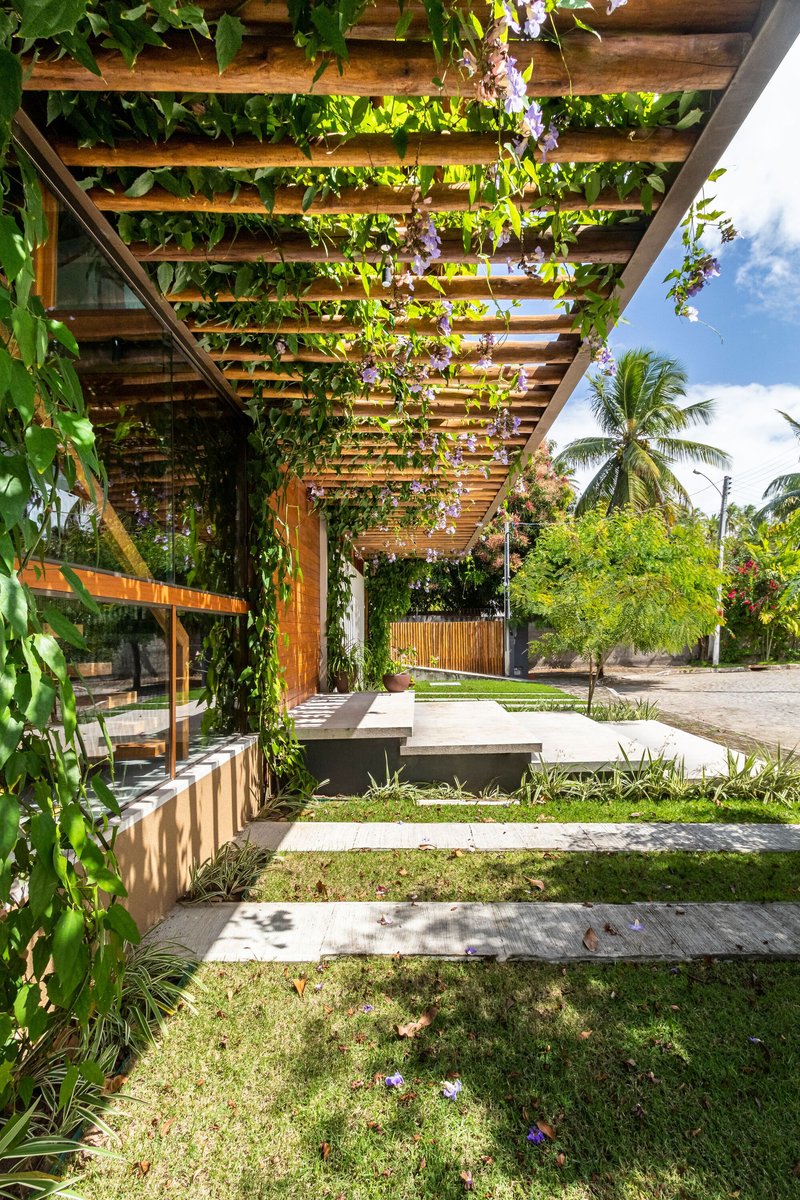 Timber pergola draped with flowering vines shading the entry path and planted beds below