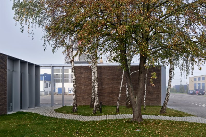 Brick volumes framed by birch tree trunks with falling autumn leaves on the lawn