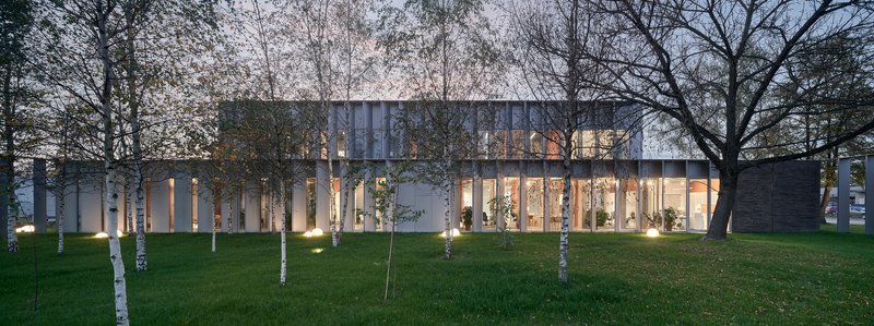 Glazed facade illuminated at dusk with birch trees in the foreground casting shadows on grass