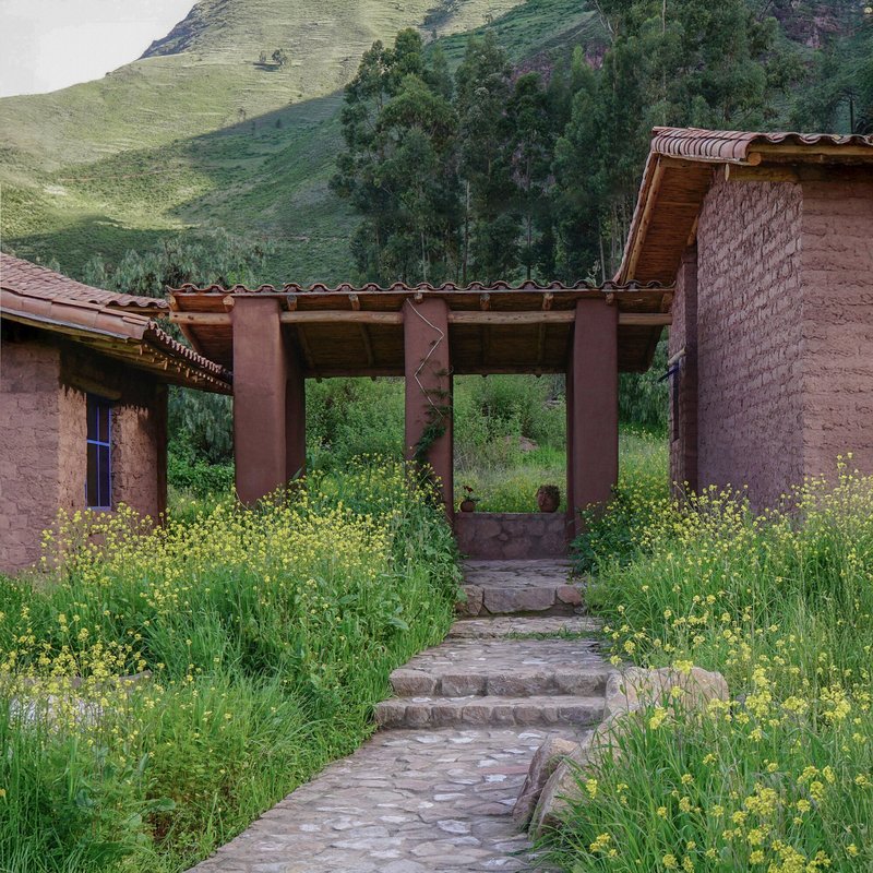 Stone pathway leading through yellow wildflowers to timber pergola entry framed by hillside vegetation