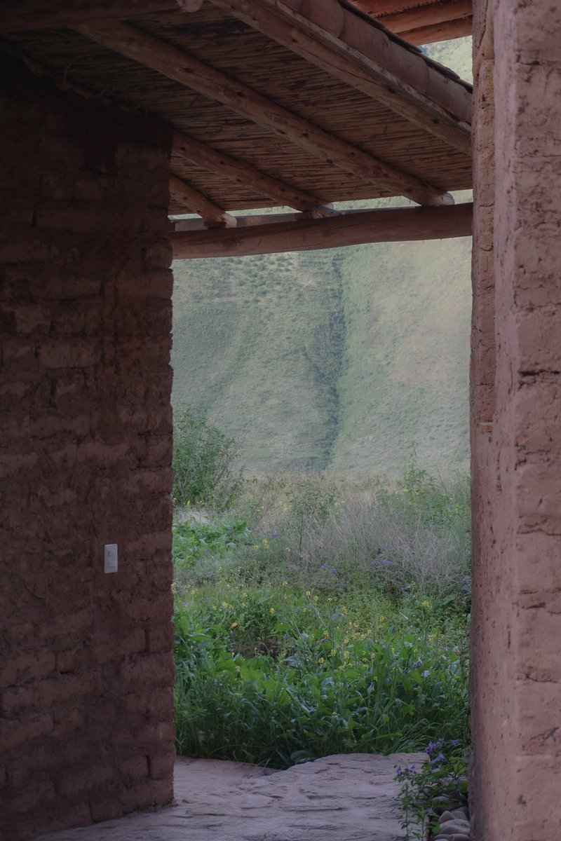 Earthen doorway with timber lintel and reed ceiling opening to an overgrown courtyard