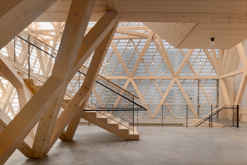 Interior atrium with diagonal timber beams and mesh-railed staircase under diffused natural light