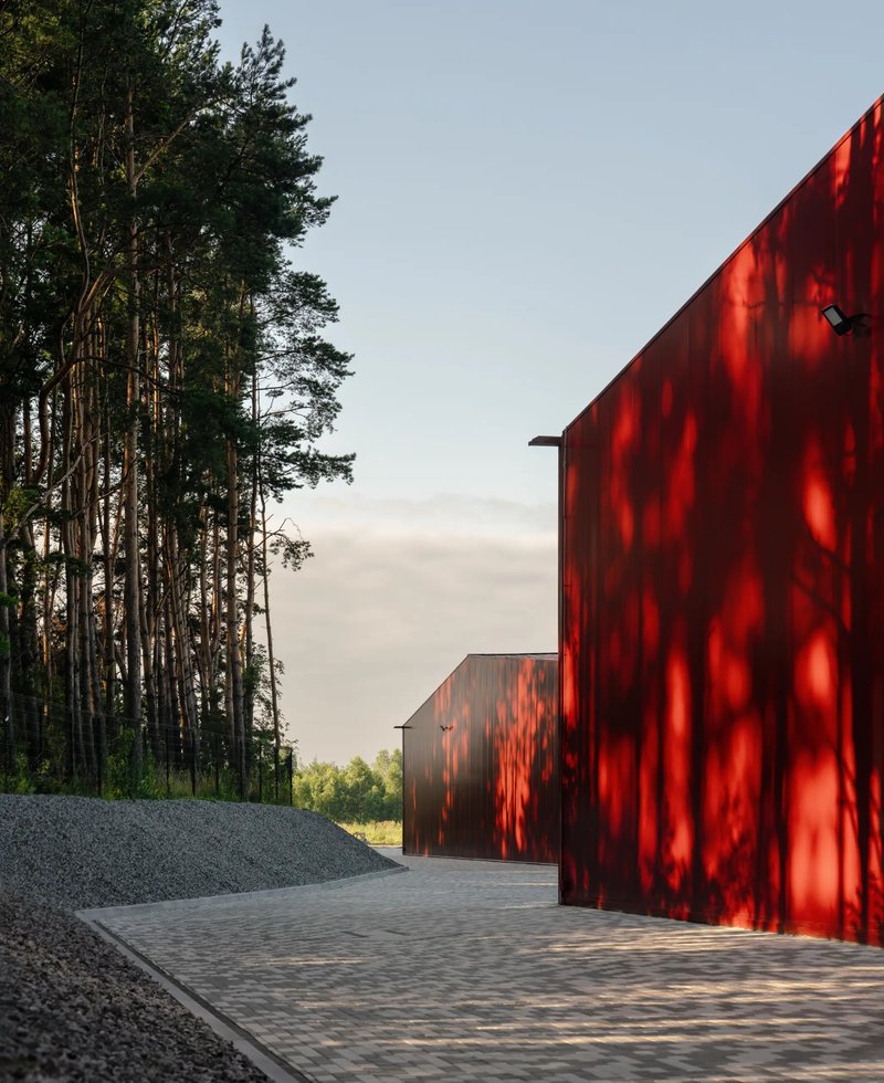 Red corrugated metal volumes beside a stand of tall pine trees at sunset