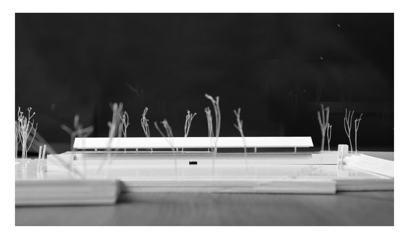 Physical model of elongated single-story building flanked by wire trees against a dark background