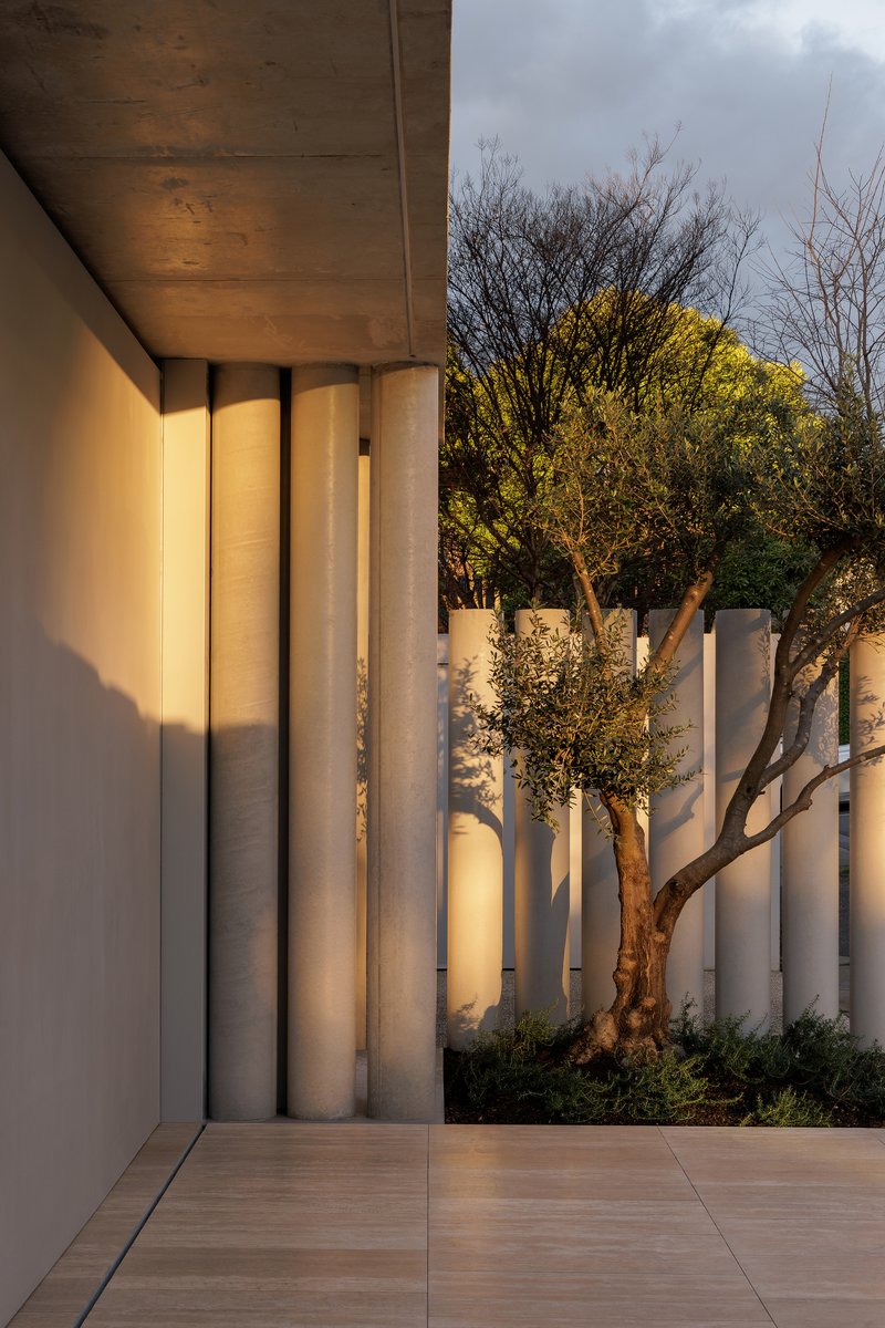 Courtyard corner with vertical white screens behind an uplift olive tree at dusk