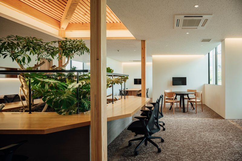Workstation area with curved planted divider beneath slatted timber ceiling and recessed lighting