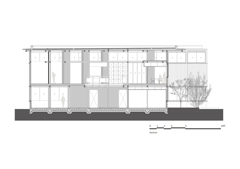 Section drawing revealing double-height interior spaces with clerestory windows and an adjacent tree