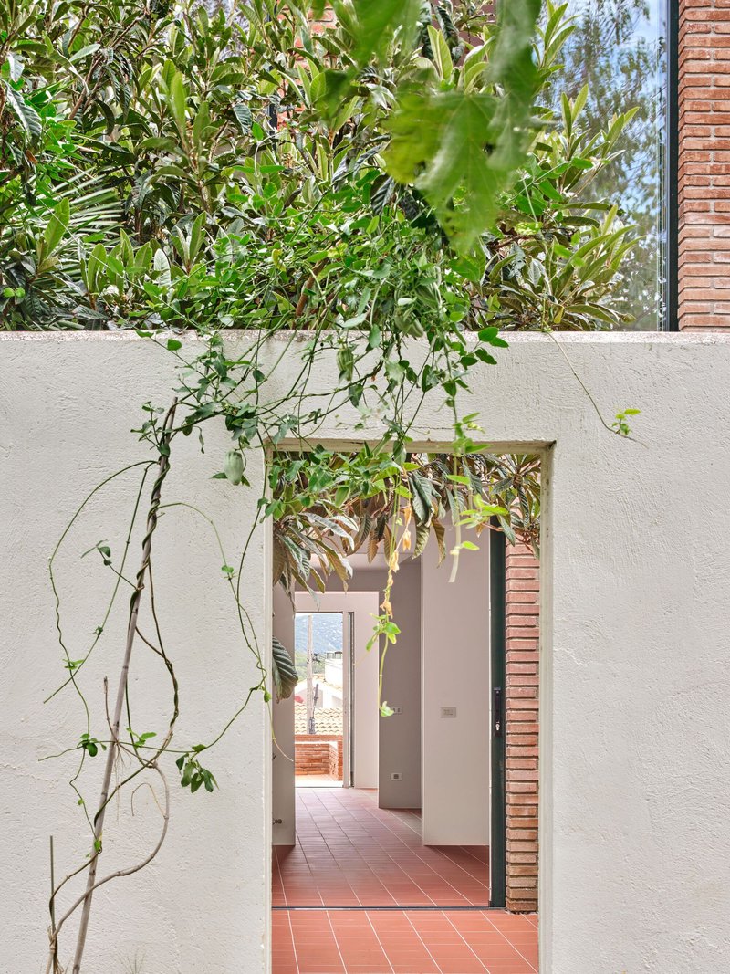 View through doorway framed by climbing vines showing terracotta-tiled passage leading to courtyard beyond