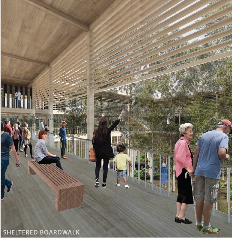 Semi-outdoor timber boardwalk enabling immersive visitor interaction within a climate-responsive, wildlife-sensitive architectural system.