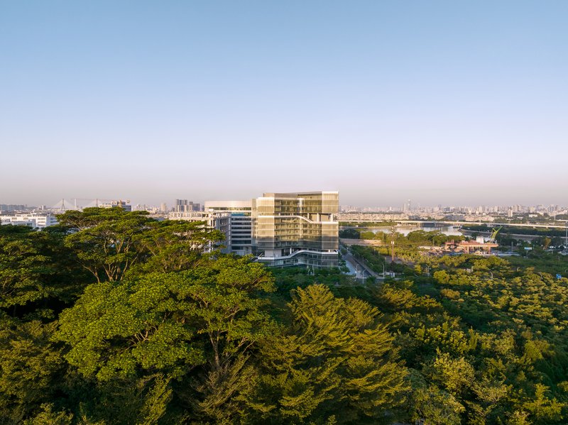 Aerial view of the low-rise glass building emerging from a dense canopy of trees at sunrise