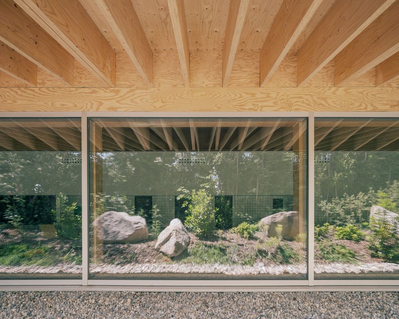 Floor-to-ceiling glazing reflecting the courtyard boulders beneath exposed timber joists and plywood decking
