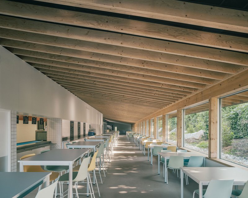 Canteen with parallel rows of tables under rhythmic timber beams and continuous glazing