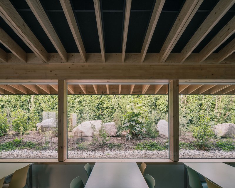 Exposed timber beams framing a view through floor-to-ceiling windows to a landscape with boulders and vegetation
