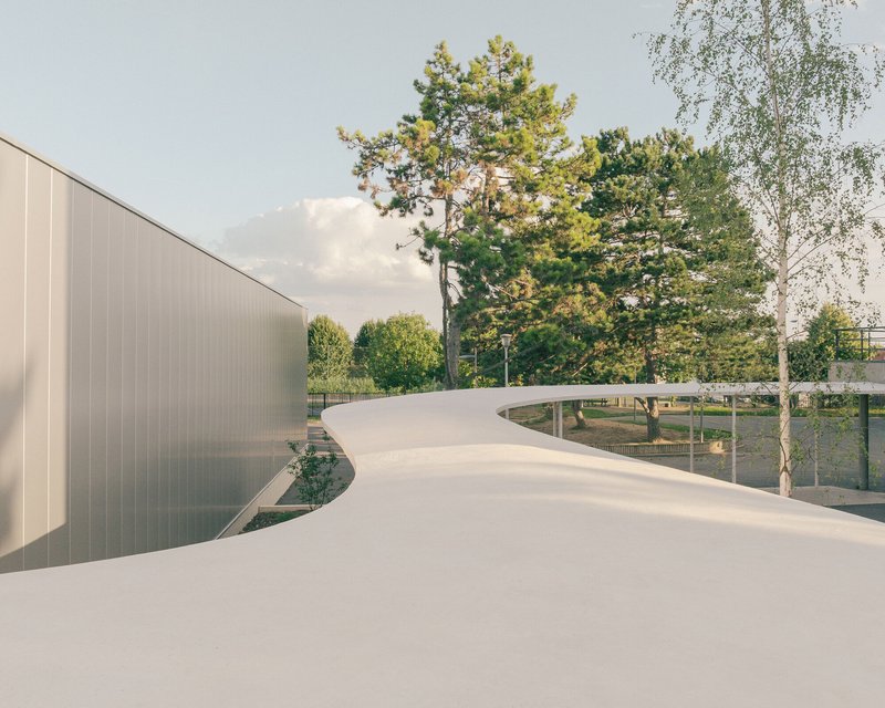 Curving white roof plane floating above translucent panels and mature trees in soft afternoon light