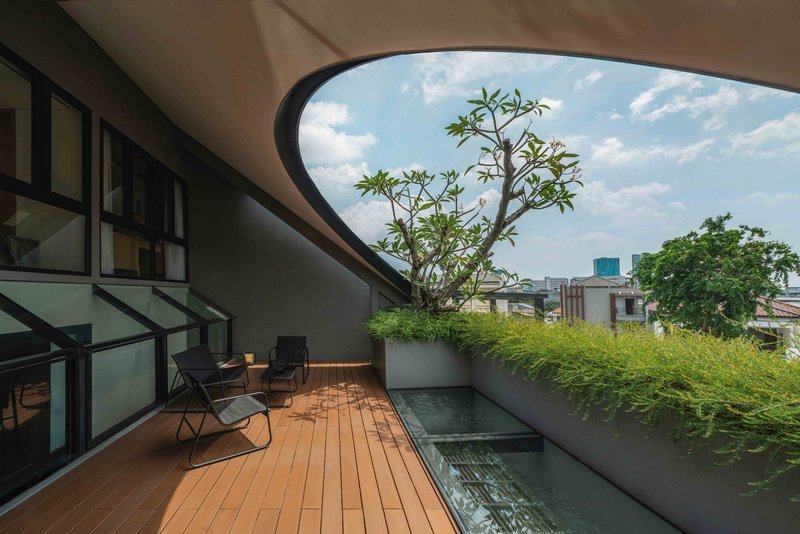 Rooftop terrace with timber decking, planted bed, and frangipani tree under open sky