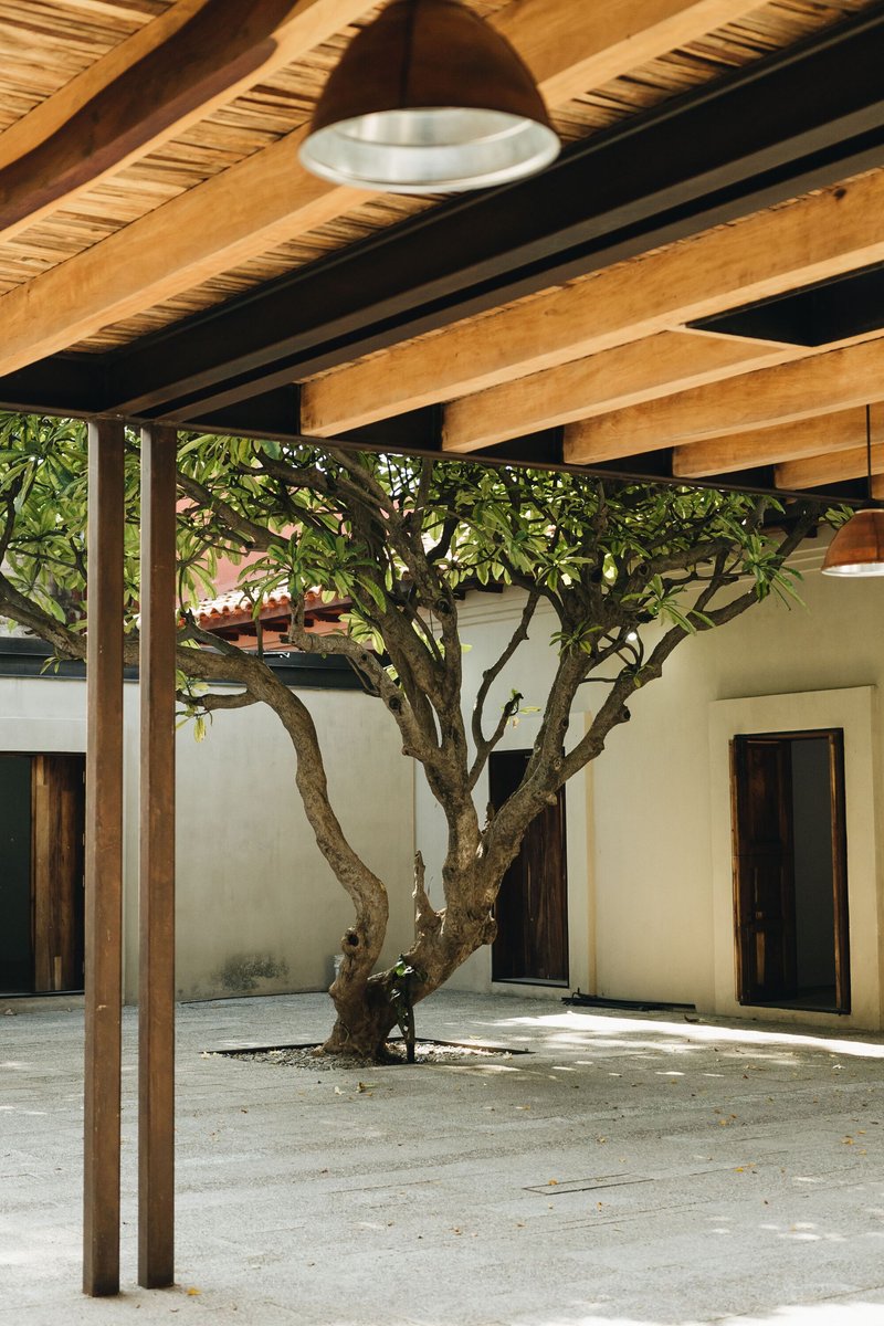 Covered courtyard with exposed timber beams and a bare tree growing through the gravel floor