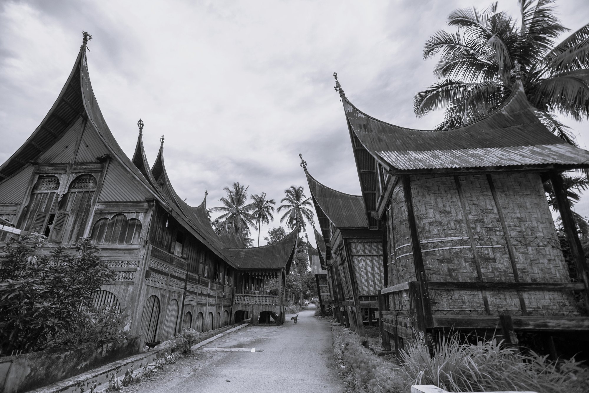 Where winds converge