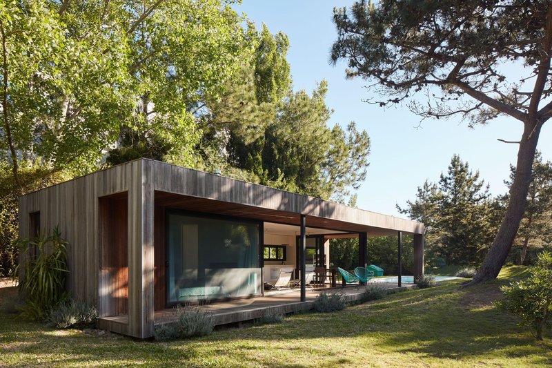 Timber-clad volume with covered terrace and swimming pool set among mature pine trees