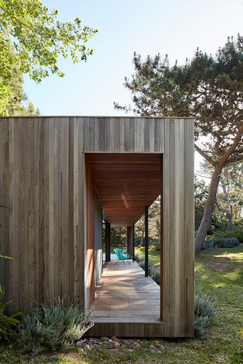 Vertical timber cladding framing a covered entry passage with wood-lined soffit