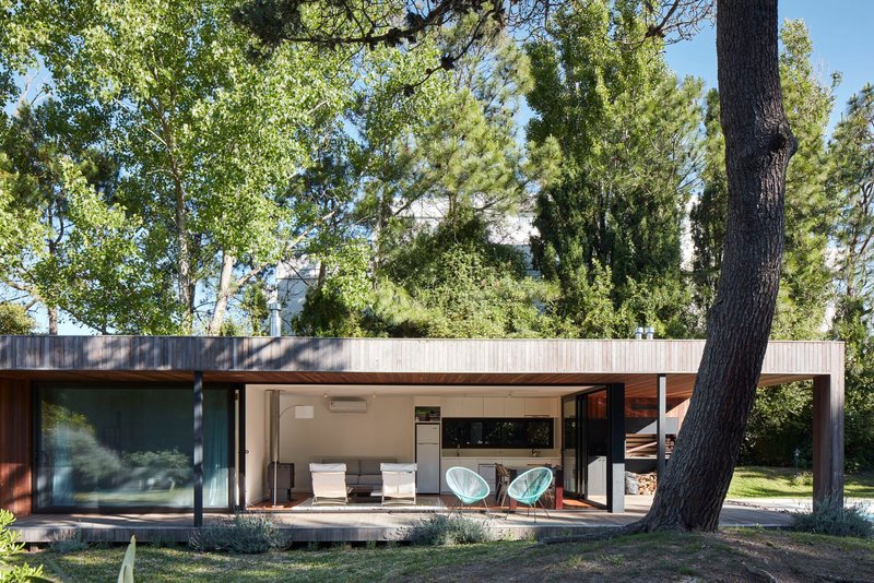 Timber-clad facade with covered terrace beneath existing pine trees in dappled afternoon light