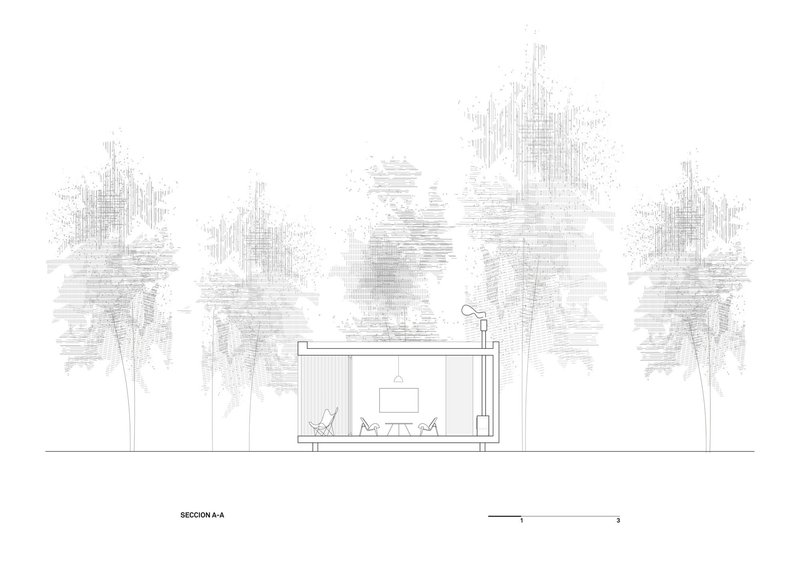 Section drawing showing single-story volume with flat roof nestled among five large trees