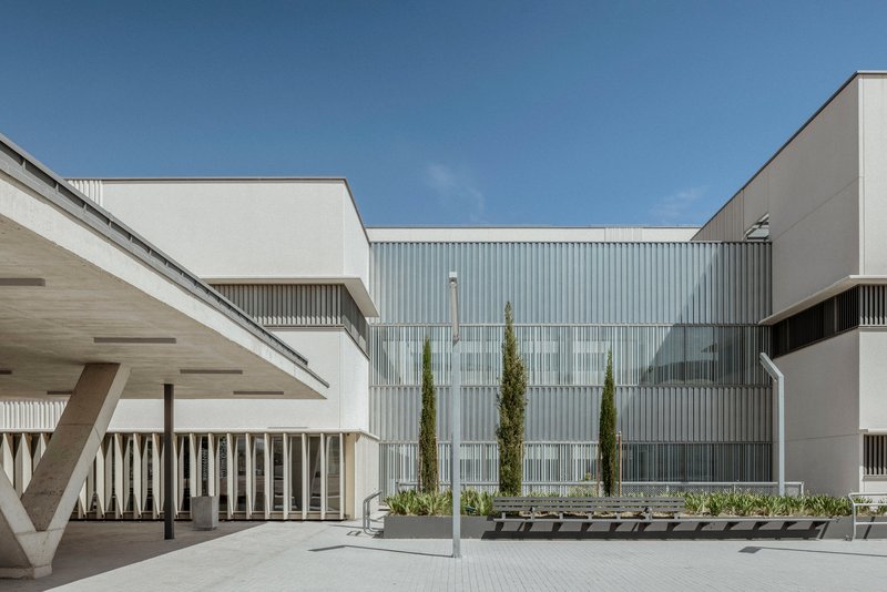 Courtyard with corrugated metal facade, vertical slat screening, planted beds with cypress trees, and concrete benches