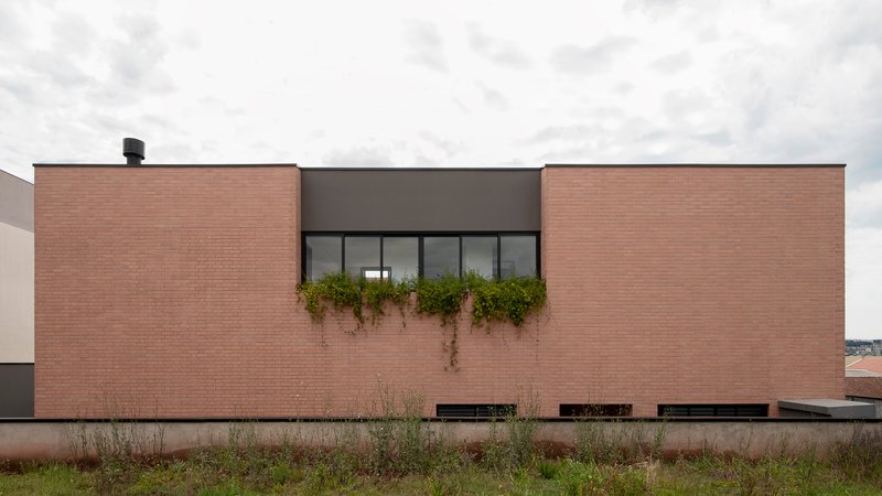 Rear elevation with continuous ribbon window, cascading vines, and green roof planting under overcast sky