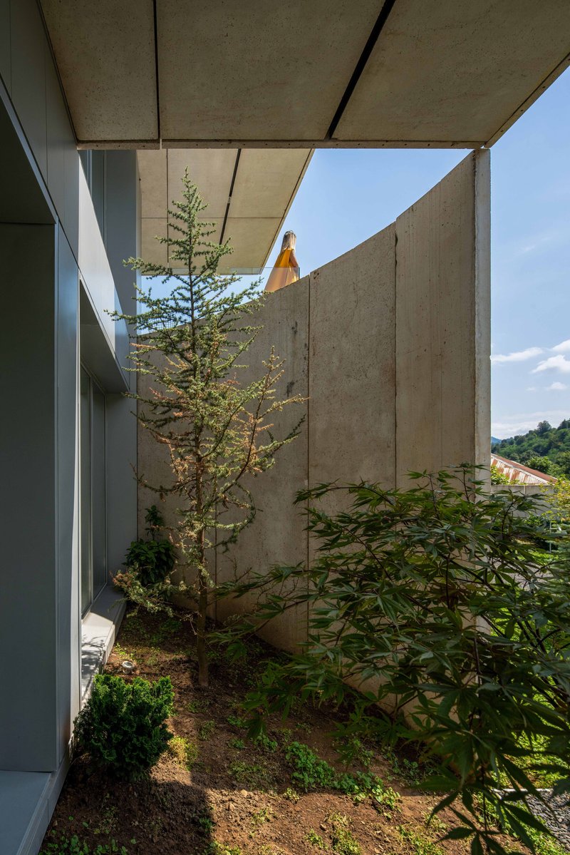 Planted courtyard between concrete walls and glazed corridor beneath a cantilevered slab overhead