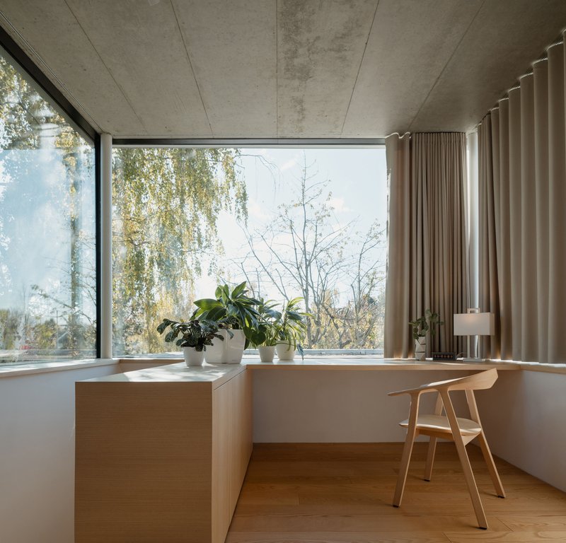 Corner window desk with concrete ceiling panels overlooking bare birch trees in winter light