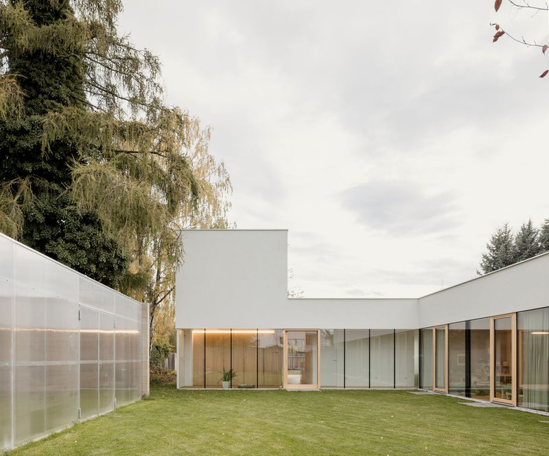 Private courtyard with translucent panel wall, lawn, and glazed living space framed by weeping willows