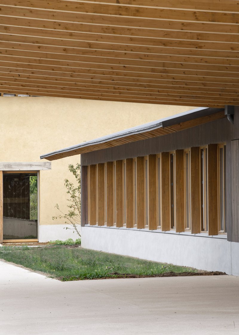 Facade with rhythmic vertical timber fins above white plaster base and planted sapling under timber overhang