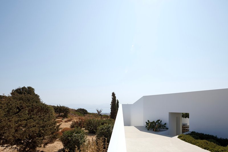 White rooftop terrace extending toward the sea with planted cactus and distant horizon