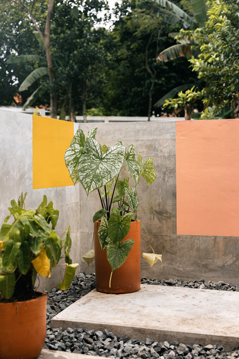 Courtyard garden with painted concrete walls in yellow and peach tones and potted tropical plants