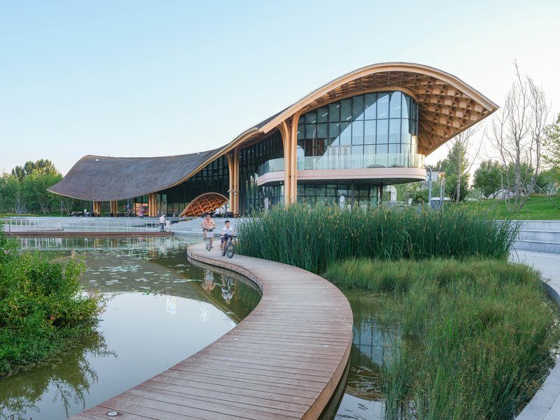 Curved timber boardwalk leading through planted wetland grasses toward the vaulted glass entrance with visitors approaching at dusk