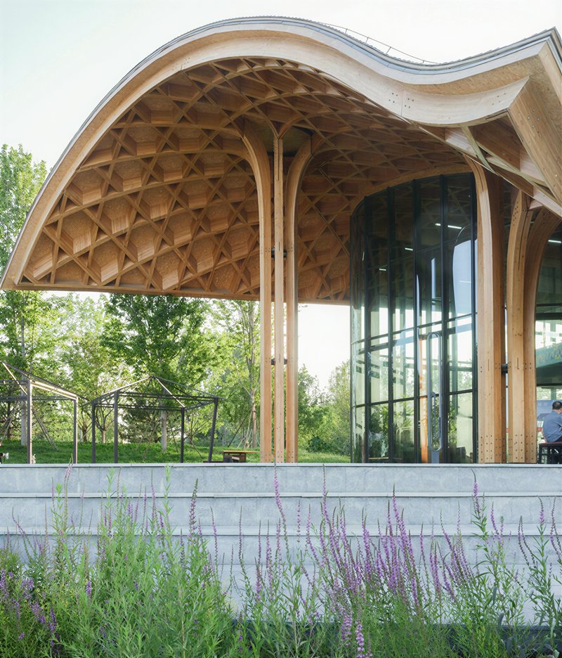 Detail of the coffered timber shell canopy with exposed arching columns beside floor-to-ceiling glazing and planted terrace edge