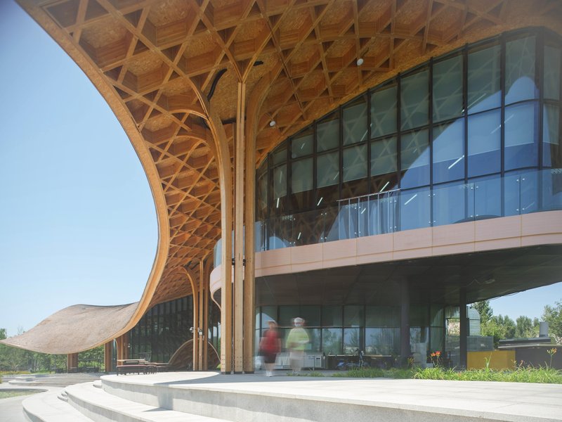 Undulating timber gridshell roof sheltering a curved entrance terrace with branching columns and glazed upper level
