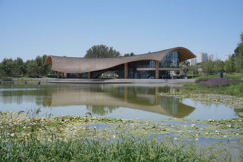 View across a lily-covered pond reflecting the curved timber roof pavilion with surrounding trees and distant towers