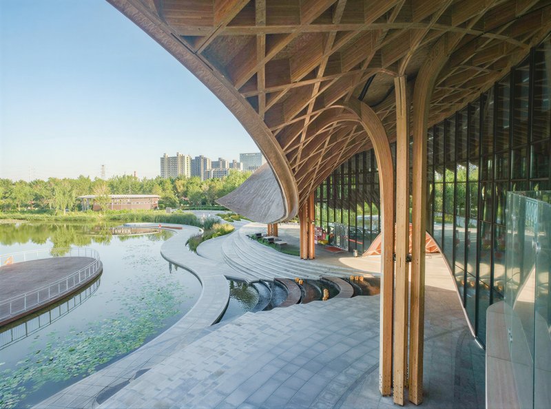 Covered terrace with timber columns and lattice roof overlooking a shallow reflecting pool and planted landscape