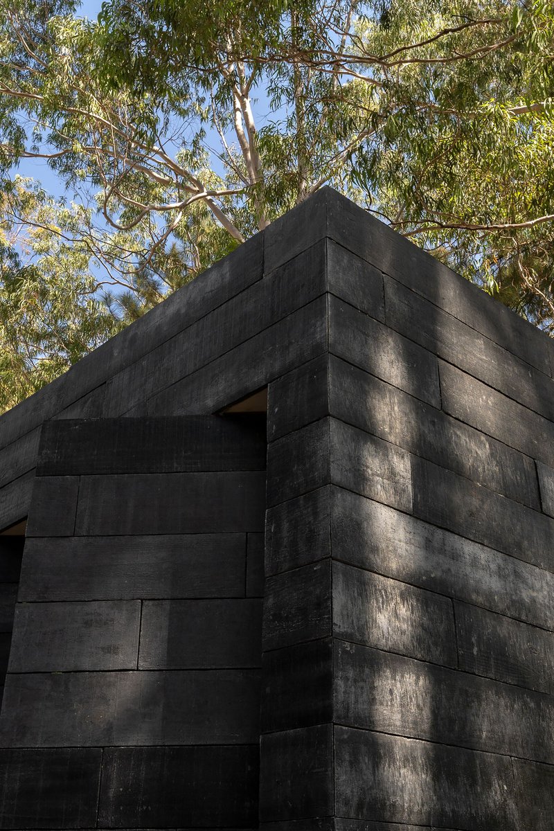 Corner detail of charred timber board cladding with dappled tree shadows cast across the blackened surface