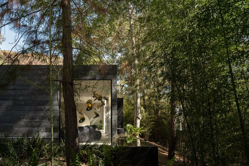 Concrete facade with floor-to-ceiling glazing framed by tall trees in dappled sunlight
