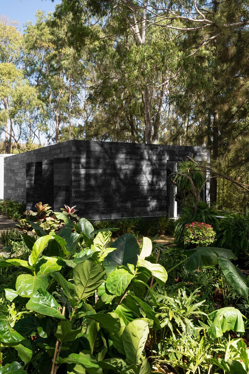Board-formed concrete volume behind a planted garden bed with tropical foliage and bromeliads