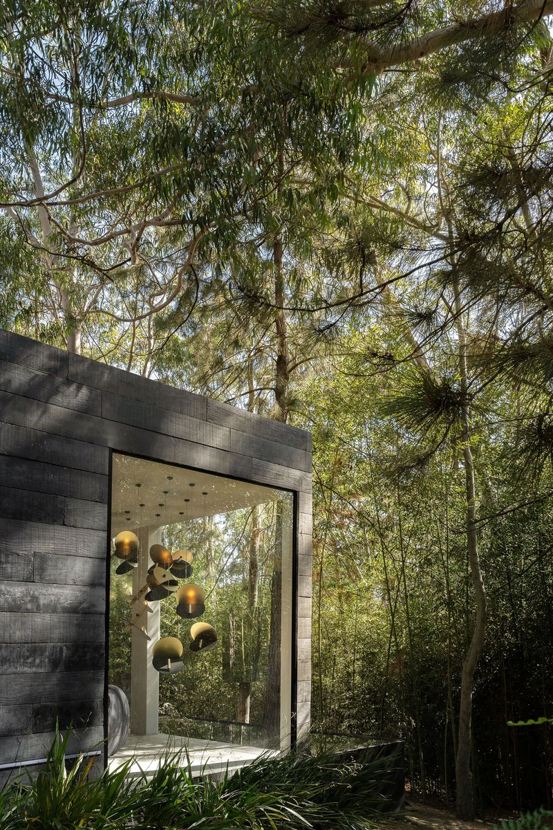 Charred timber pavilion with glazed opening framed by pendant spheres and surrounding eucalyptus trees