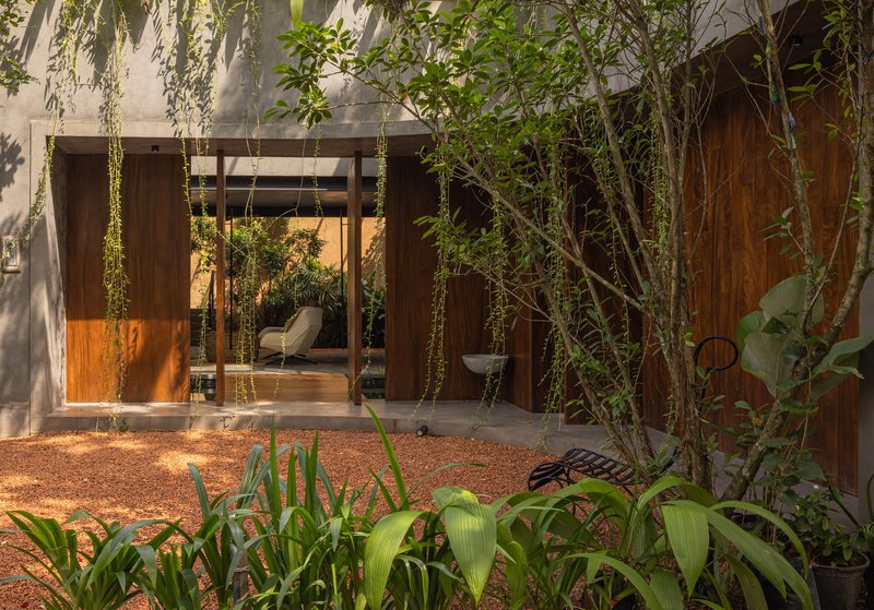 Courtyard entry with timber doors, hanging vines and gravel ground in morning light