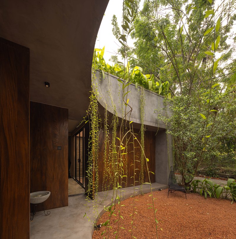 Exterior courtyard with vertical timber screen draped in climbing vines beneath a planted rooftop terrace
