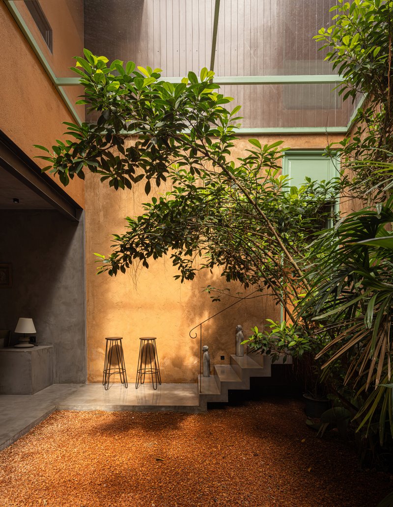 Interior courtyard with tall potted tree and ochre walls lit by warm afternoon sunlight