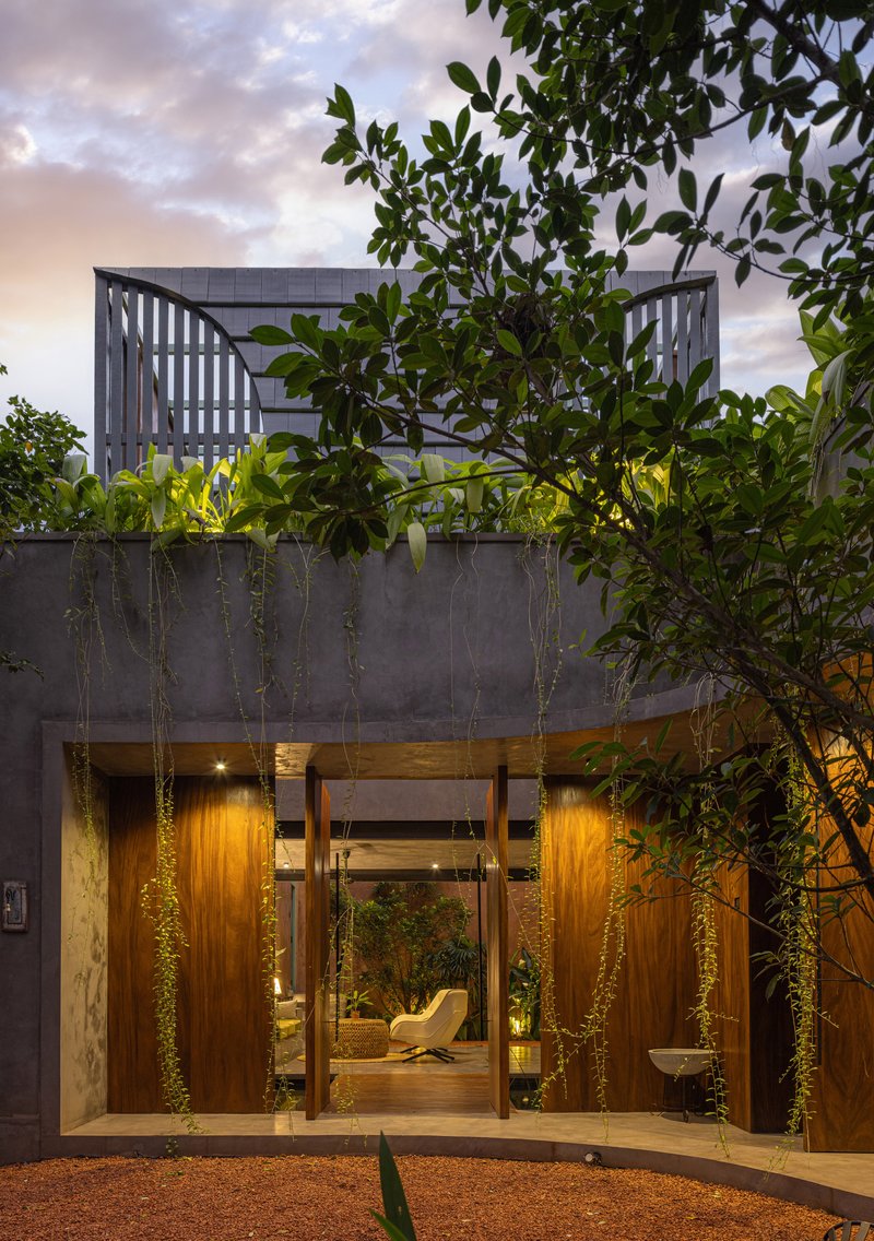 Street facade with timber-clad entry, rooftop planters and cascading vines under evening clouds