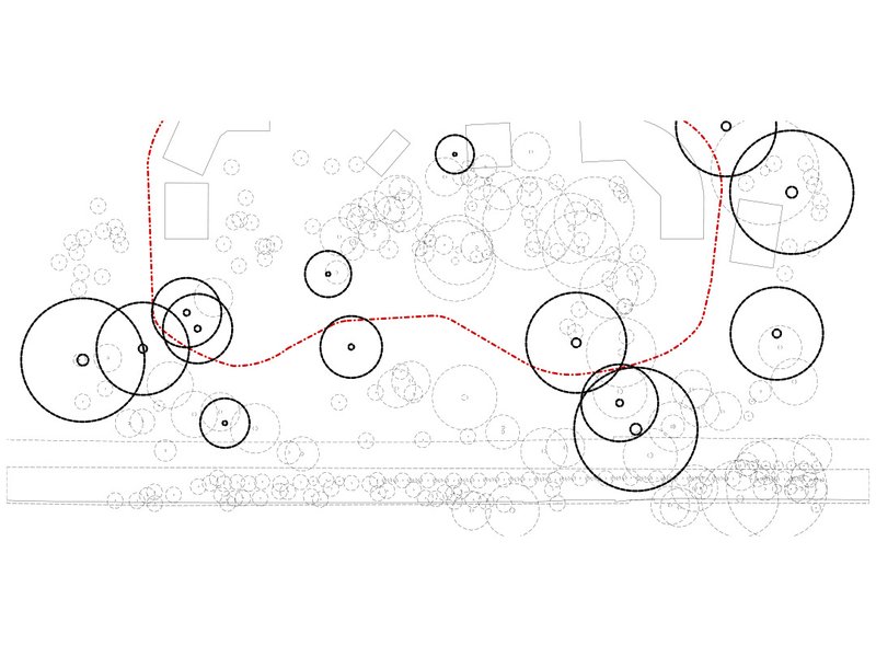 Site plan drawing with circular classroom modules, meandering pathways, and tree canopy circles