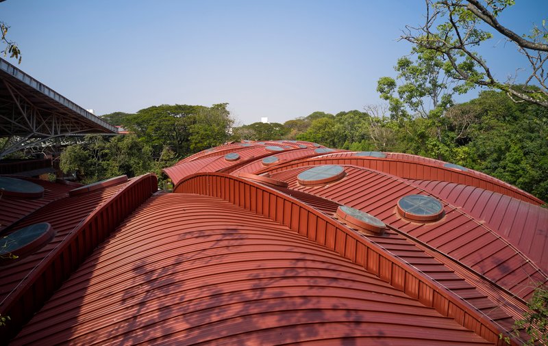 Elevated view of the ribbed copper-colored roof forms with circular skylights against surrounding forest canopy